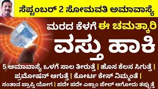 ಸೋಮವತಿ ಅಮಾವಾಸ್ಯೆ ಮರದ ಕೆಳಗೆ ಈ ವಸ್ತು ಹಾಕಿದರೆ ನಿಮ್ಮ ಕೆಲಸ ಶೀಘ್ರದಲ್ಲೇ ಆಗುತ್ತೆ LIVE somavati amavasya