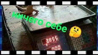 Кормление поросят👍Козы - дуры🤣Выбор бройлера на забой в 47 дней 😊