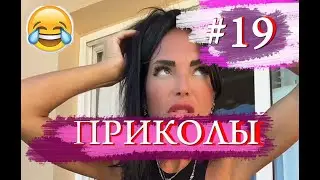 Свежие приколы :) / Ржака №19 / Приколы с животными людьми кубы юмор до слез!
