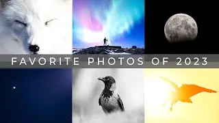 My Favorite Photos of 2023
