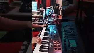 Korg Triton Extreme VST - ASM Feedback Lead