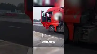 This truck driver shocked all of Dagestan 🤯