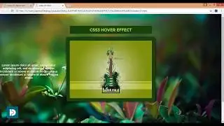 CSS HOVER- 01 Awesome CSS Hover Effect Without Any Plugins