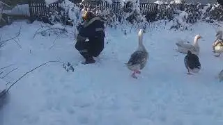 5 февраля 2023 г. 