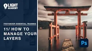 Photoshop Essential Training 11  How To Manage Your Layers