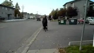 Alaska Shopping Cart Run