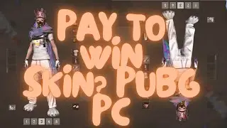 Pay To Win Skin? PUBG PC