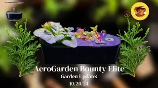 AeroGarden Bounty Elite Update: 10/20/24