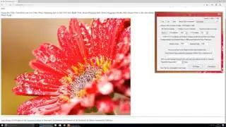 Windows Automation Software
