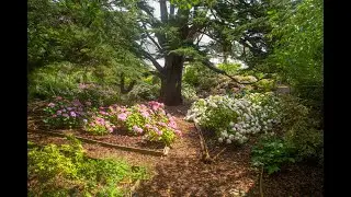 Monterey House Garden