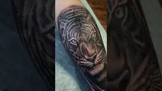 тигр один сеанс 2 часа. тату 15 rm 7 rl tattoo