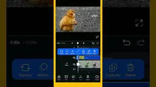 Black And White Color Grading In VN App