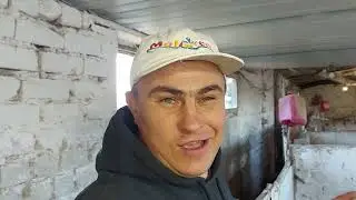 Новый житель на хозяйстве. Кто же это???