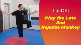 Yang Style 24 Play the Lute Repulse Monkey