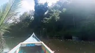 wisata alam rammang rammang