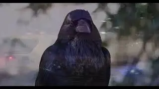 Jon Allen - Blame It All On Me