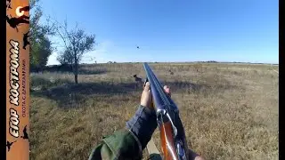 Pheasant hunting. Another successful opening of the season.