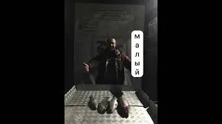 Уловы за несколько дней