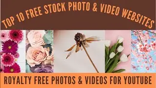 Top 10 Free Stock Photo & Video Websites