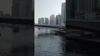 Walk along Dubai Marina #habibi #music #song #travel #vacation #love