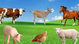 Farm Animal Sounds - Horse, Cow, Sheep, Dog, Chicken, Pig - Animal Sounds