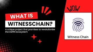 WitnessChain: Bringing DePIN economies together | Block bytes