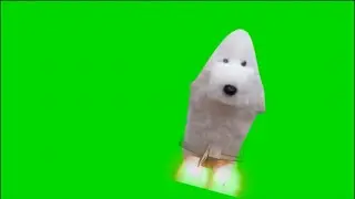 DOG ROCKET SHIP (free chroma key footage)