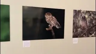 montaggio mostra Museo cremona aprile 2024