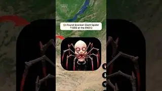 😨I Found Very Creepy Face Spider Caught On Google Earth 😰! 