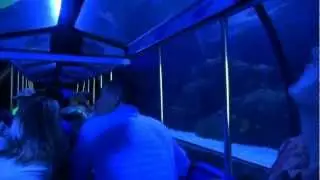 2012 Shark Voyage Adventure Train at Houston's Downtown Aquarium
