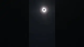 Total Solar Eclipse Reaction April 8th, 2024, Lodi, Ohio non-asmr #eclipse