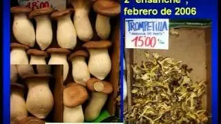 Peligros asociados a la ingesta de las setas - Nando Jubany