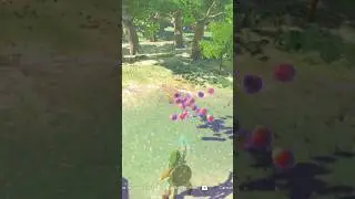 Easiest way to get loads of apples!