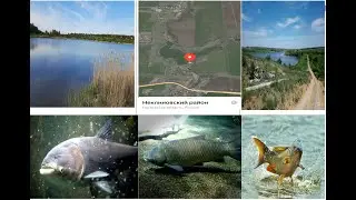 Рыбалка возле хутора Пятихатки Неклиновский район Ростовская область 