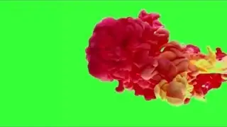 Green Screen Intro Without Text | No Copyright | Free Download [Everything Here]