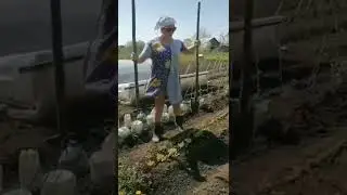 29 июля 