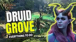 Everything to do in the Druid Grove | Baldur's Gate 3