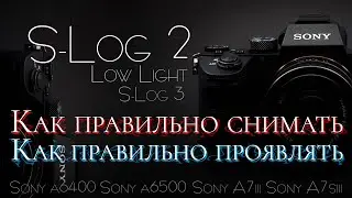 Как СНИМАТЬ и ПРОЯВИТЬ видео в SLog2 и SLog3 | СЪЕМКА в Low Light SLog-2. Проявка в DaVinci, Primer
