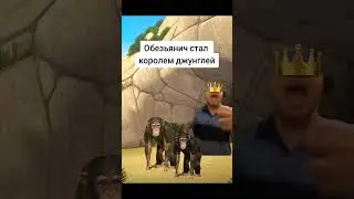 обезьянич #meme #юмор #мем #прикол #папич