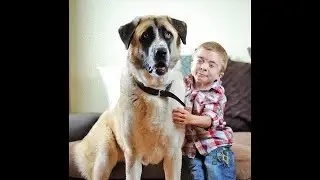 【感動】難病の少年と３本足の犬の友情に涙