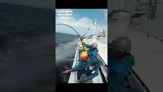 чемпионат по ловле рыбы 😁😁😁😁