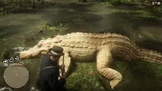 Red Dead Redemption 2 - Hunting Legendary Animals by John Marston