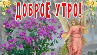 Доброе утро! Очень трогательные стихи! Это счастье – видеть позитив! С добрым утром!