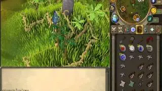 Shilo Village Quest Guide [2012]