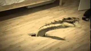 Adobe After Effect - Monster Dragon Snake Effect