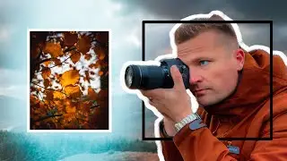 3 Woodland Photography Tips I wasn't Expecting