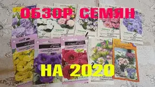 ОБЗОР СЕМЯН ЭУСТОМЫ И КАК ОНИ ВЗОШЛИ!!??!!