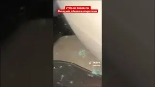 Суета на паркингах, выходные объявляю открытыми 😎