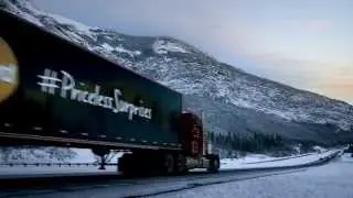 Priceless Surprises for the Holidays (short version)