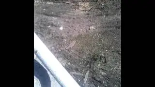 Это мастер с моста прыгнуть
